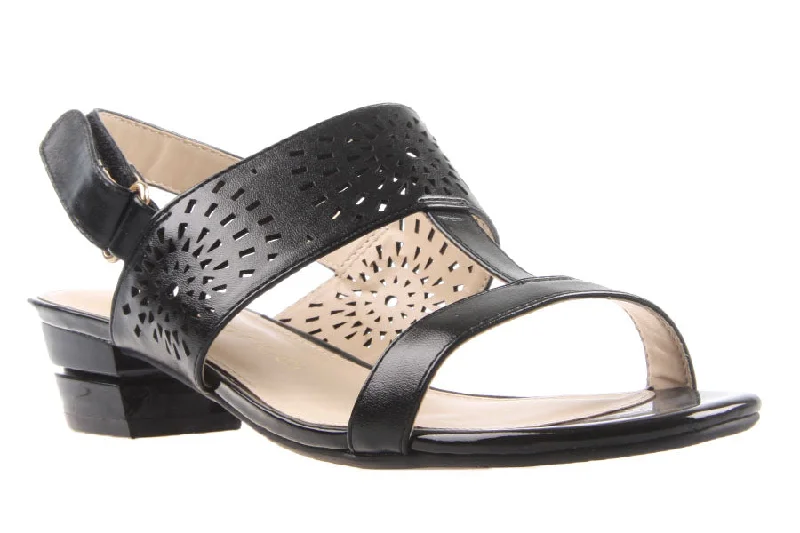 TERI BLACK Buckle -